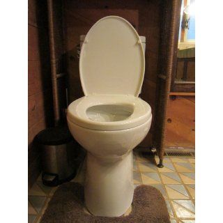 TOTO SS113 01 Transitional SoftClose Round Toilet Seat, Cotton White    