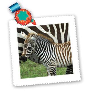 3dRose qs_9859_1 Common Zebra Kenya Africa 2 Quilt Square, 10 by 10 Inch
