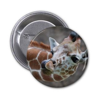 Giraffe Tongue Button