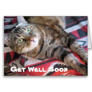 Get Well Soon Cat Cards