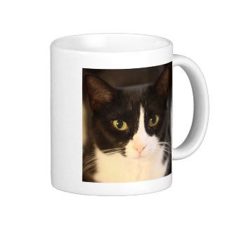 Fritzie Cat Mugs