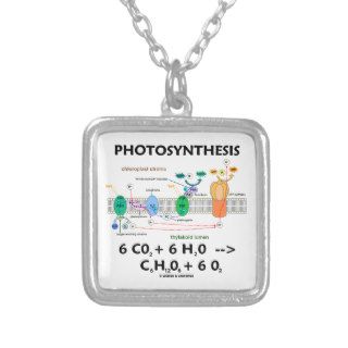 Photosynthesis (Chemical Formula) Jewelry