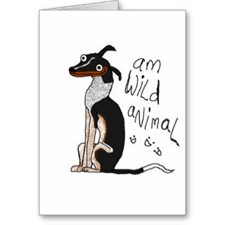 Am Wild Animal Cards