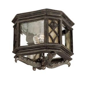 Acclaim Lighting Florence Collection Ceiling Mount 2 Light Outdoor Black Coral Light Fixture DISCONTINUED 305BC