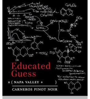 2010 Educated Guess Napa Carneros Pinot Noir 750ml Wine