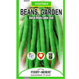 Ferry Morse Garden Bean Bush Blue Lake 156 Seed 8581