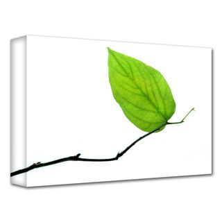 Dan Holm 'Lone Leaf' Gallery Wrapped Canvas ArtWall Canvas