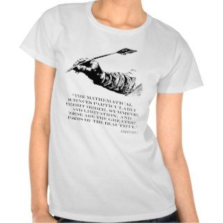 Aristotle Quote   Beauty of Math Quotes Sayings Tee Shirts
