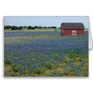 Bluebonnets and a Red Barn Greeting Cards