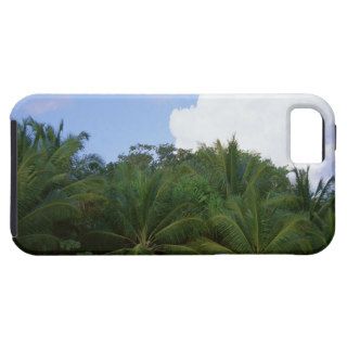 Palm Tree iPhone 5 Case
