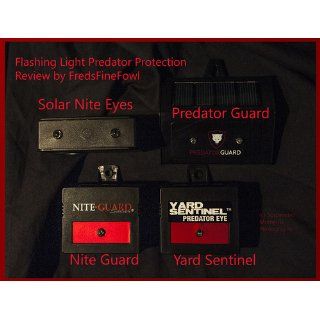 Nite Guard Solar NG 001 Predator Control Light, Single Pack  Landscape Lighting  Patio, Lawn & Garden