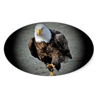 Bald Eagle Walking No.4 Sticker
