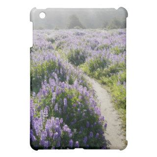Ed Sutton   Field of Flowers iPad Mini Cases