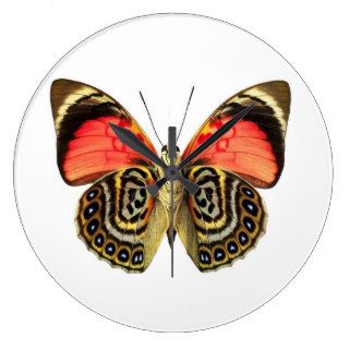 Butterfly   Round Wall Clock