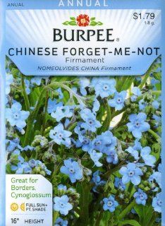 Burpee 46203 Forget Me Not Firmament Seed Packet  Forget Me Not Plants  Patio, Lawn & Garden