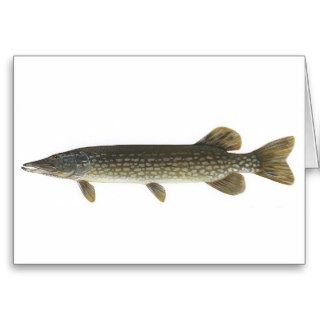 Northern Pike Cards