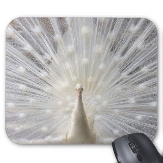 Albino Peacock design Mousepad