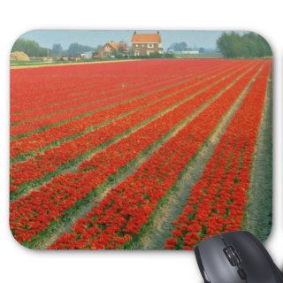 Bulb field near Haarlem, Netherlands flowers Mouse Pad