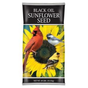 40 lb. Black Oil Sunflower Seed 62031