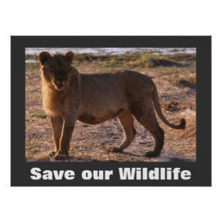 Tau Save Our Wildlife Poster