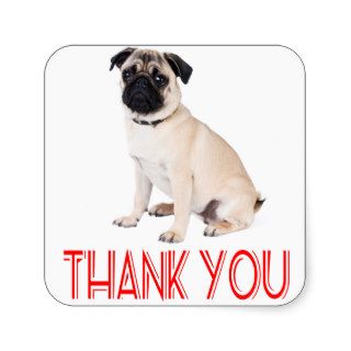 Thank You Pug Puppy Dog Greeting Sticker / Label