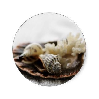 "seashells and coral poster print" stickers