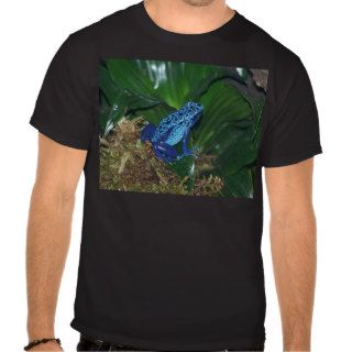 Blue Poison Arrow Frog Portrait Shirt