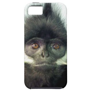 Monkey by Cindy Joyce iPhone 5 Cover