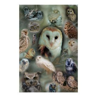 Happy Owls poster print