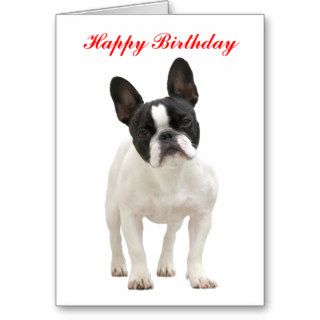 French Bulldog happy birthday greeting card