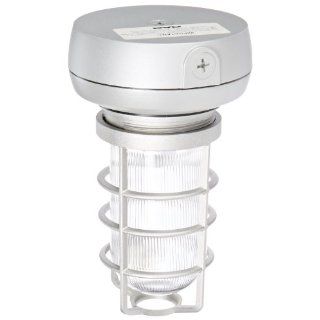 RAB Lighting VX1F26 Vaporproof Ceiling Fixture CFL Lamp with Clear Prismatic Glass Globe, Triple Type, Aluminum, 26W Power, 1800 Lumens, 277V, 1/2" Hub, Natural Fluorescent Lamps