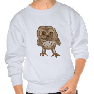 Baby Owl Pullover Sweatshirts