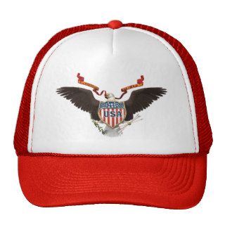 American Eagle Seal USA Red Hat