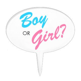 Pink & Blue Boy or Girl Gender Reveal Cake Topper