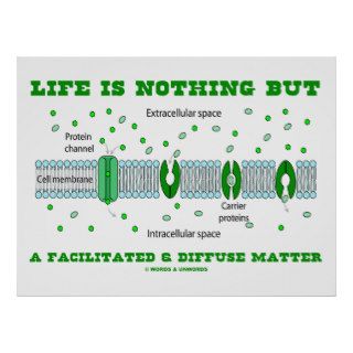 Life Is Nothing But A Facilitated & Diffuse Matter Posters