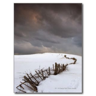 A Broken Fence Along A Snow Covered Field Post Cards
