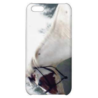 Pinto Photo Case, customizable 4 iPhone 5C Cases