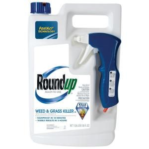 Roundup 1 gal. Ready to Use Plus Weed and Grass Killer (Case of 4) 5003210