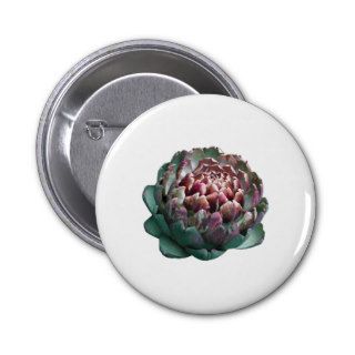 Artichoke on white. pin