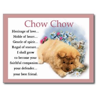 Chow Chow Puppy Art Gifts Post Cards