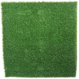 RealGrass and Real Grass Lawns 10 ft. x 5 ft. Artificial Grass Synthetic Turf Kennel Mat for Pets Turf Only RGM105