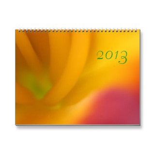 Floral Abstract Calendar   2013
