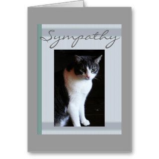 Sympathy, loss of cat, gray & white cat card