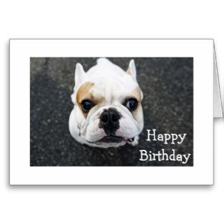 Happy Birthday Bulldog Greeting Card   Verse