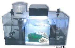 ADHI Refugium 60 Refugium Sump by Aquatic Design Habitats  Aquarium Filters 