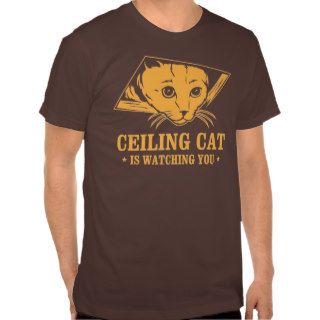 Ceiling Cat is Watching You T Shirt