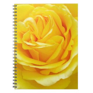 Beautiful Yellow Rose Closeup Spiral Note Books