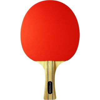 Ping Pong Element Racket (T1225)