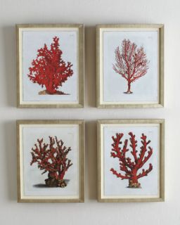 Red Coral D (Tubipora Musica Coral) Print