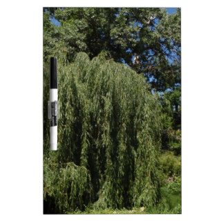 Weeping Willow Tree Dry Erase Whiteboards